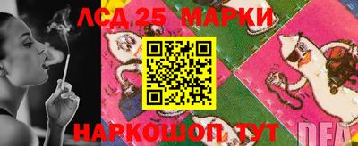 гидропоника Бузулук