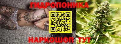 ECSTASY Будённовск