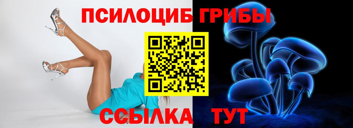 Псилоцибиновые грибы MAGIC MUSHROOMS  Галлюциногенные грибы мухоморы  Вход с VPN  сколько стоит  Бирск 